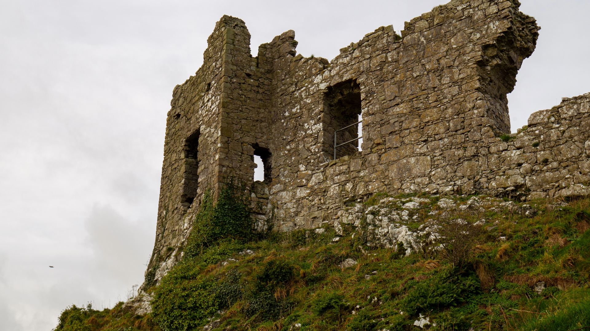 Laois